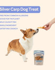 Sustainable Fish Maws For Dogs