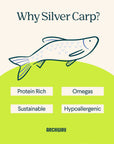 Silver Carp For Dogs