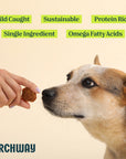 Silver Carp For Dogs