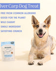 Silver Carp For Dogs