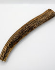 Whole Elk Antler