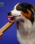 Blueberry Yak Chews for Dogs