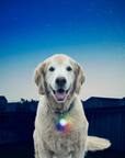 Nite Ize Spotlit Collar Light