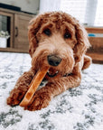 100% Yak Milk Chews for Dogs