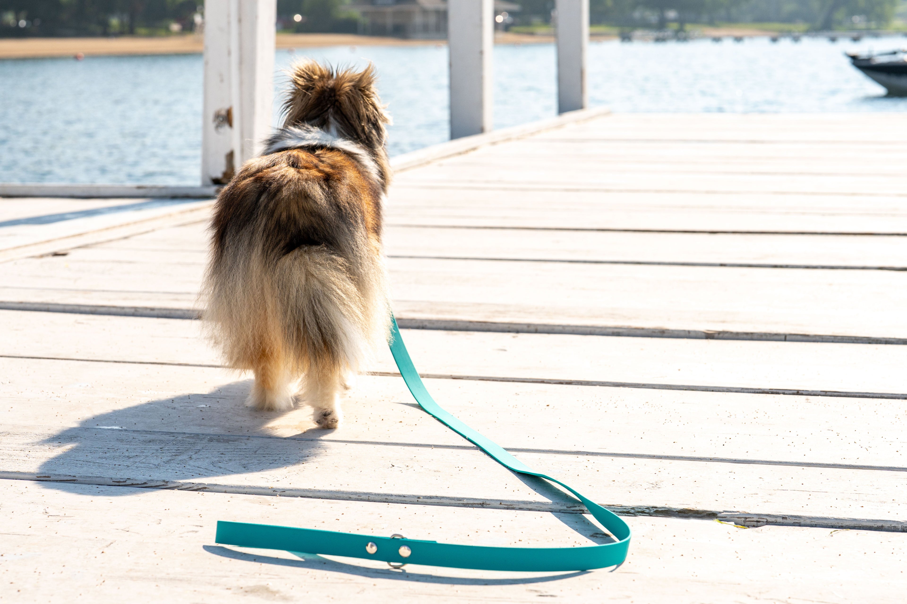 5 Must-Do Activities Before the End of Summer