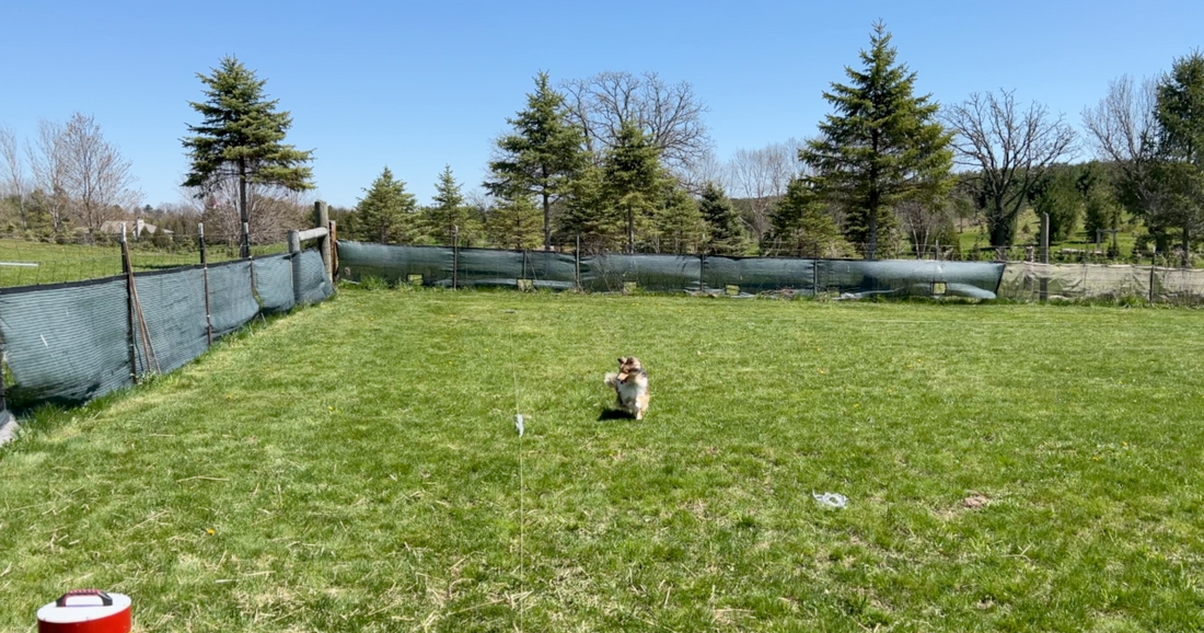 Fall Lure Course Fun