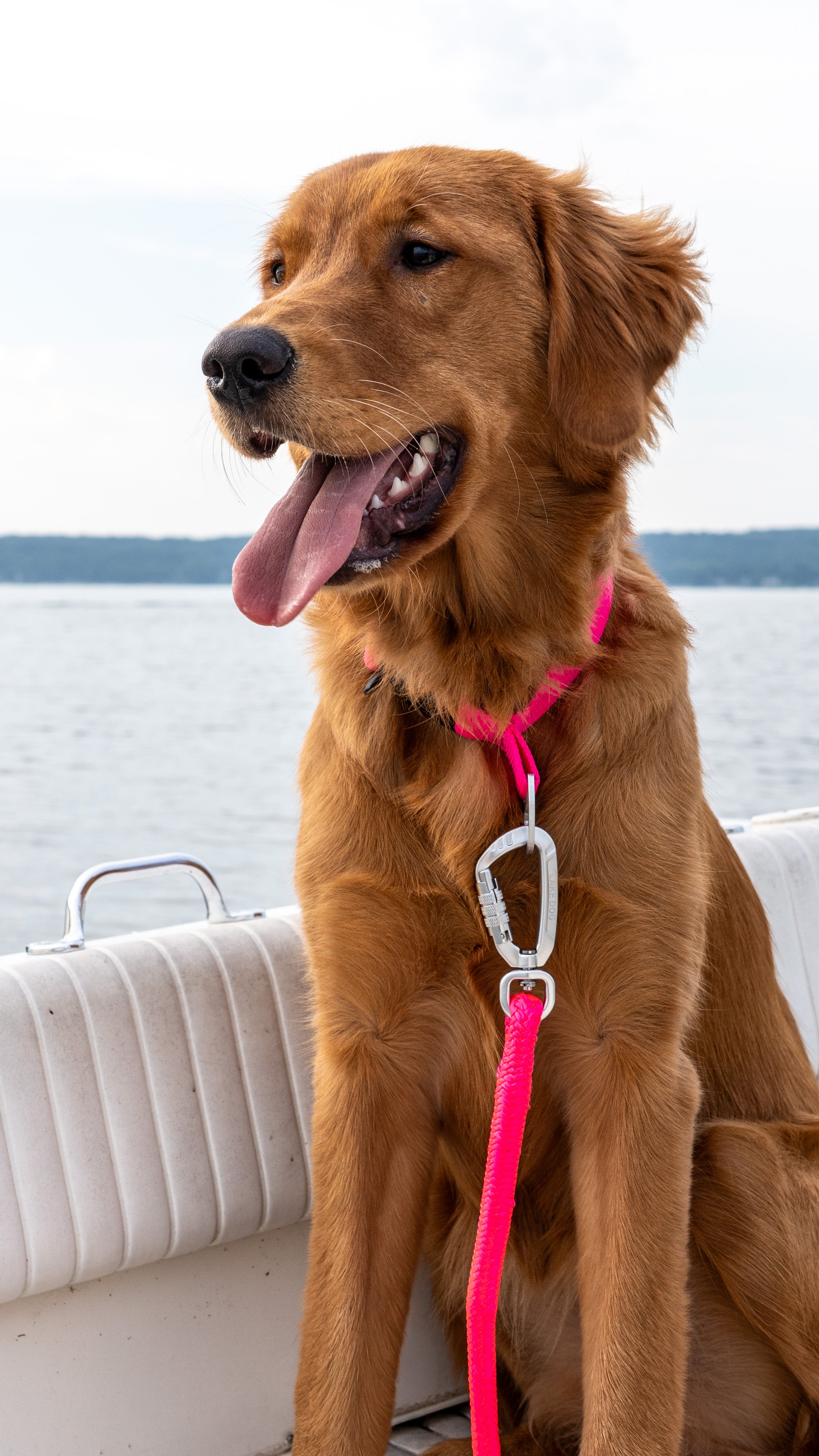 Shore Collar