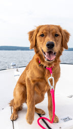 Crew Leash