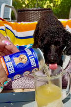 Bark Light Dog Beer | 4ct