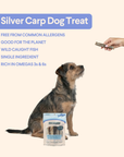 Sustainable Fish Skin Rolls For Dogs