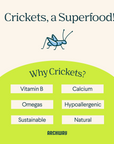 Peanut Butter Cricket Better Biscuit