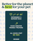 Silver Carp For Dogs