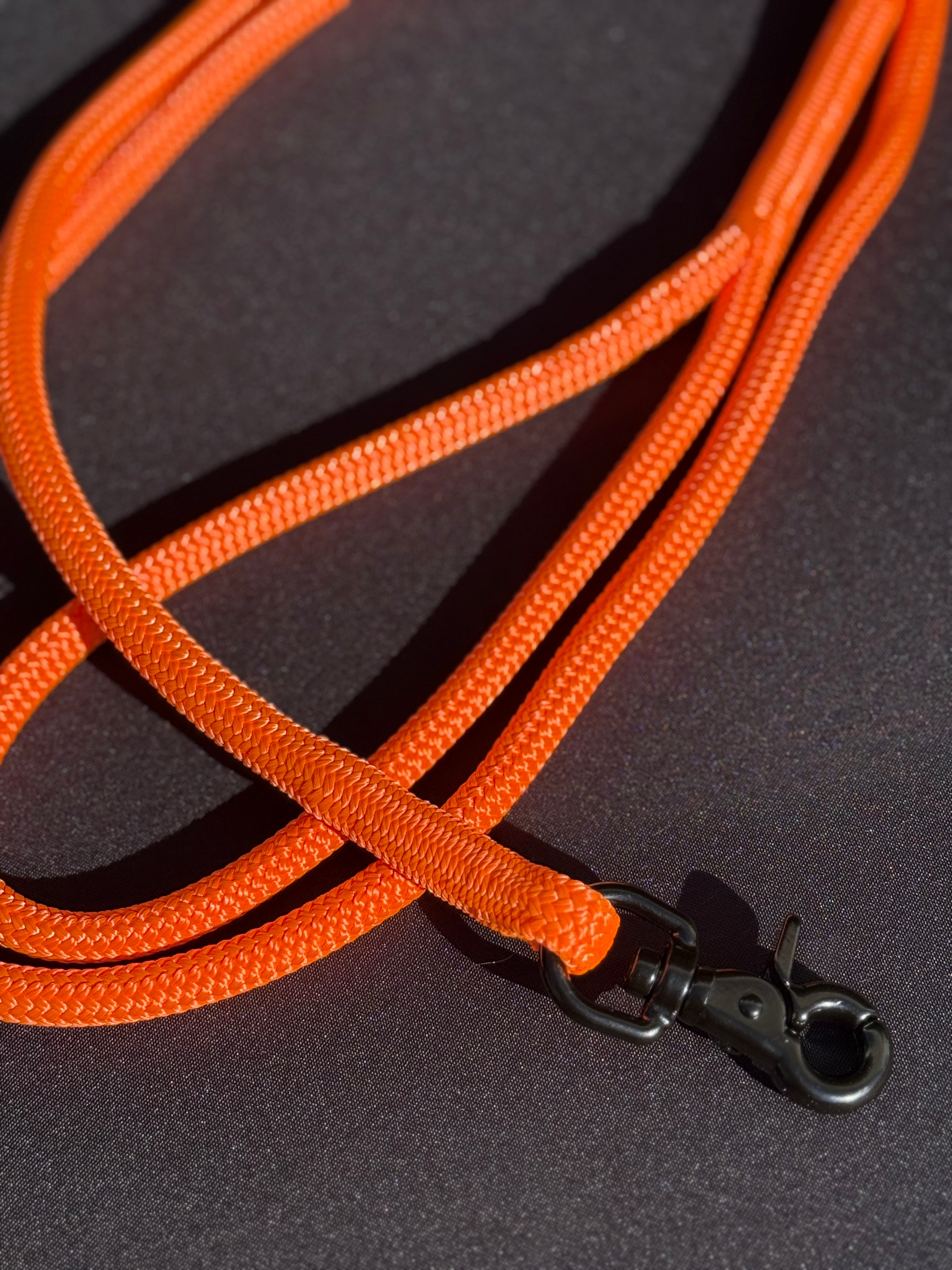 Limited Edition: Blaze Orange Crew Leash