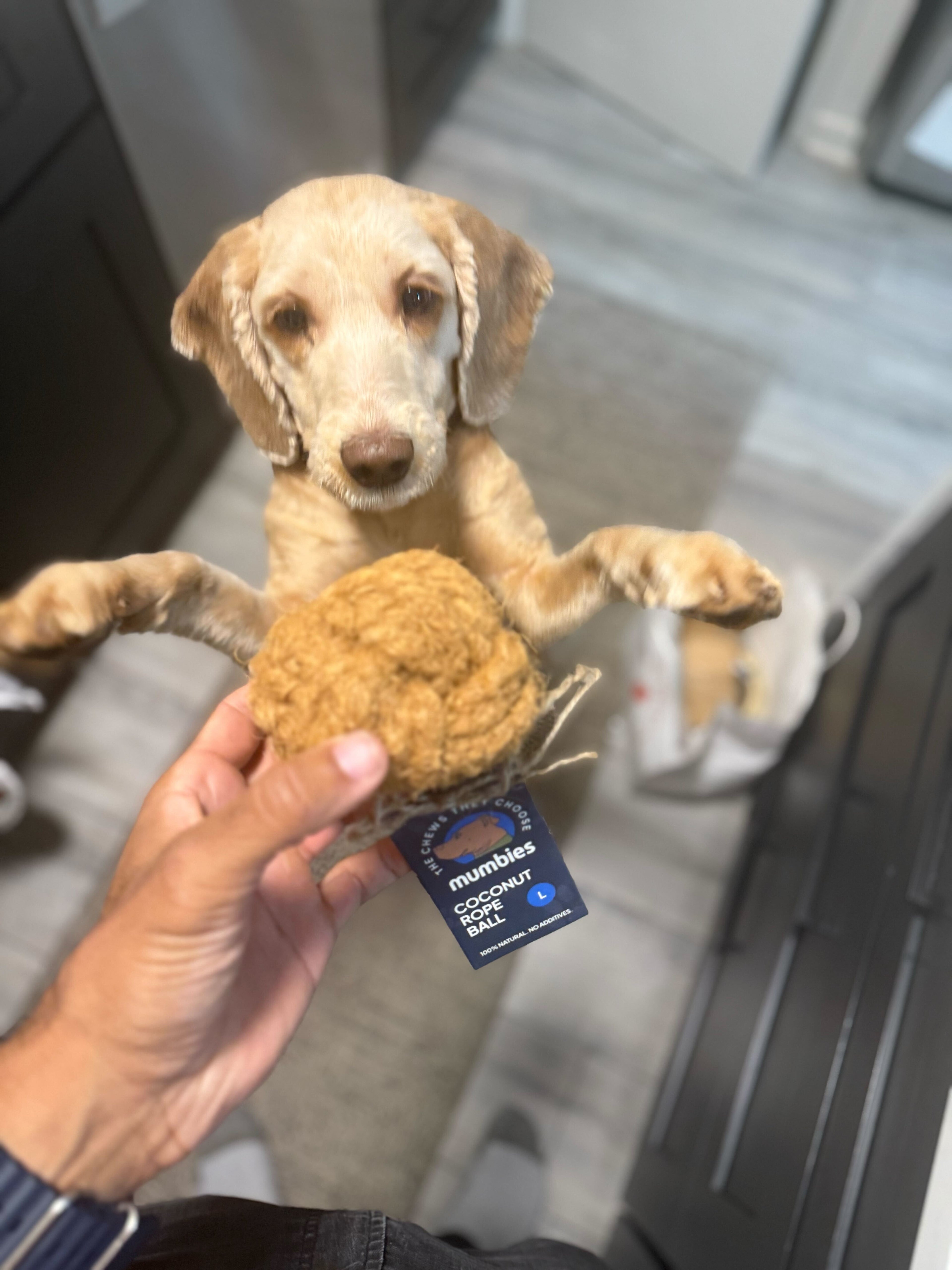 Coconut Rope Ball