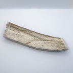 Moose Antler