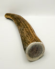 Whole Elk Antler