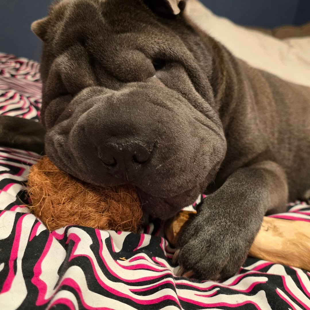 Coconut Rope Ball