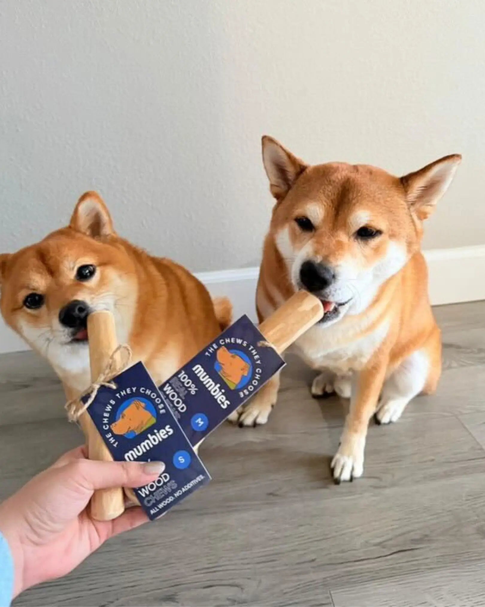 Original Chew