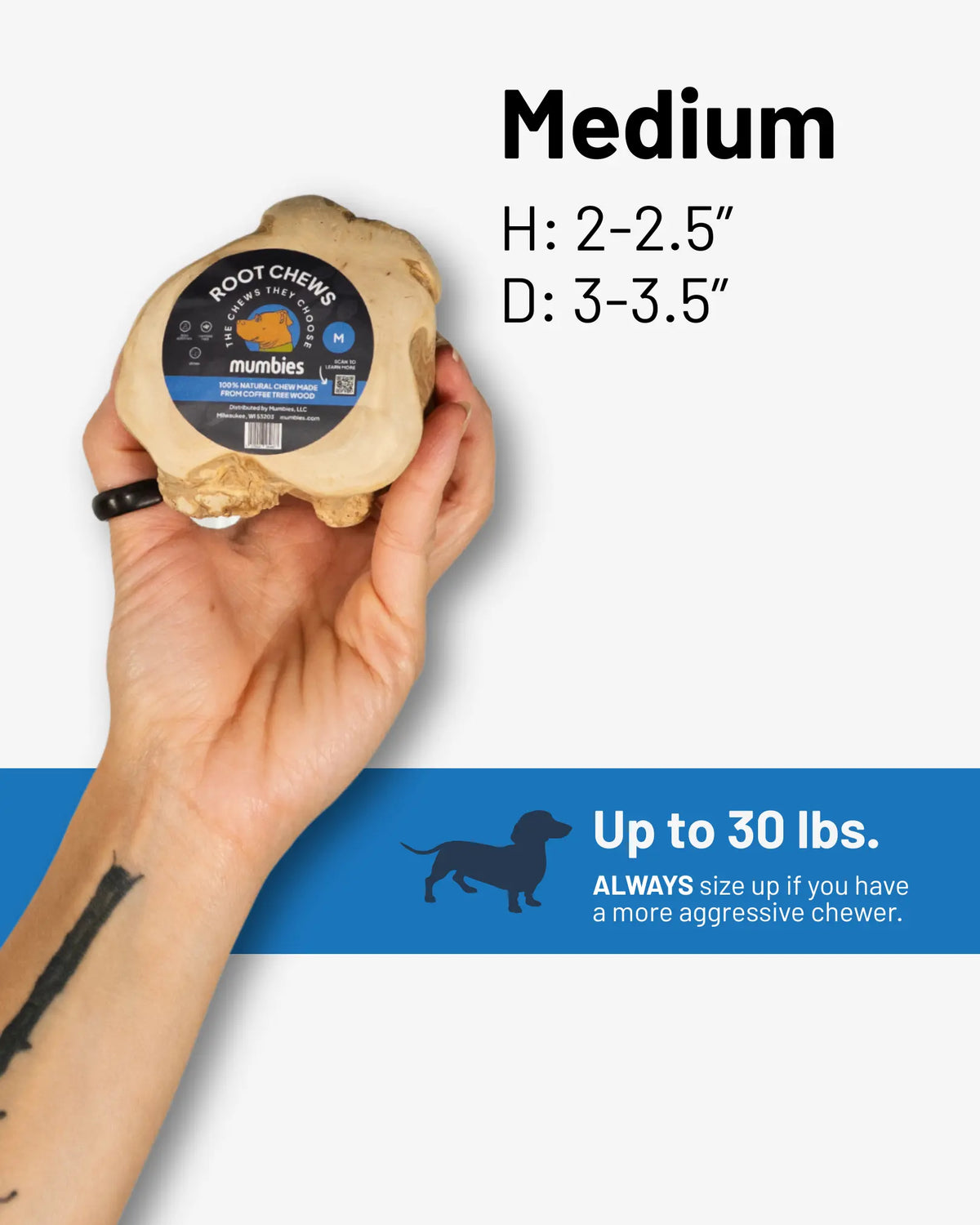 Tree Root Dog Chew