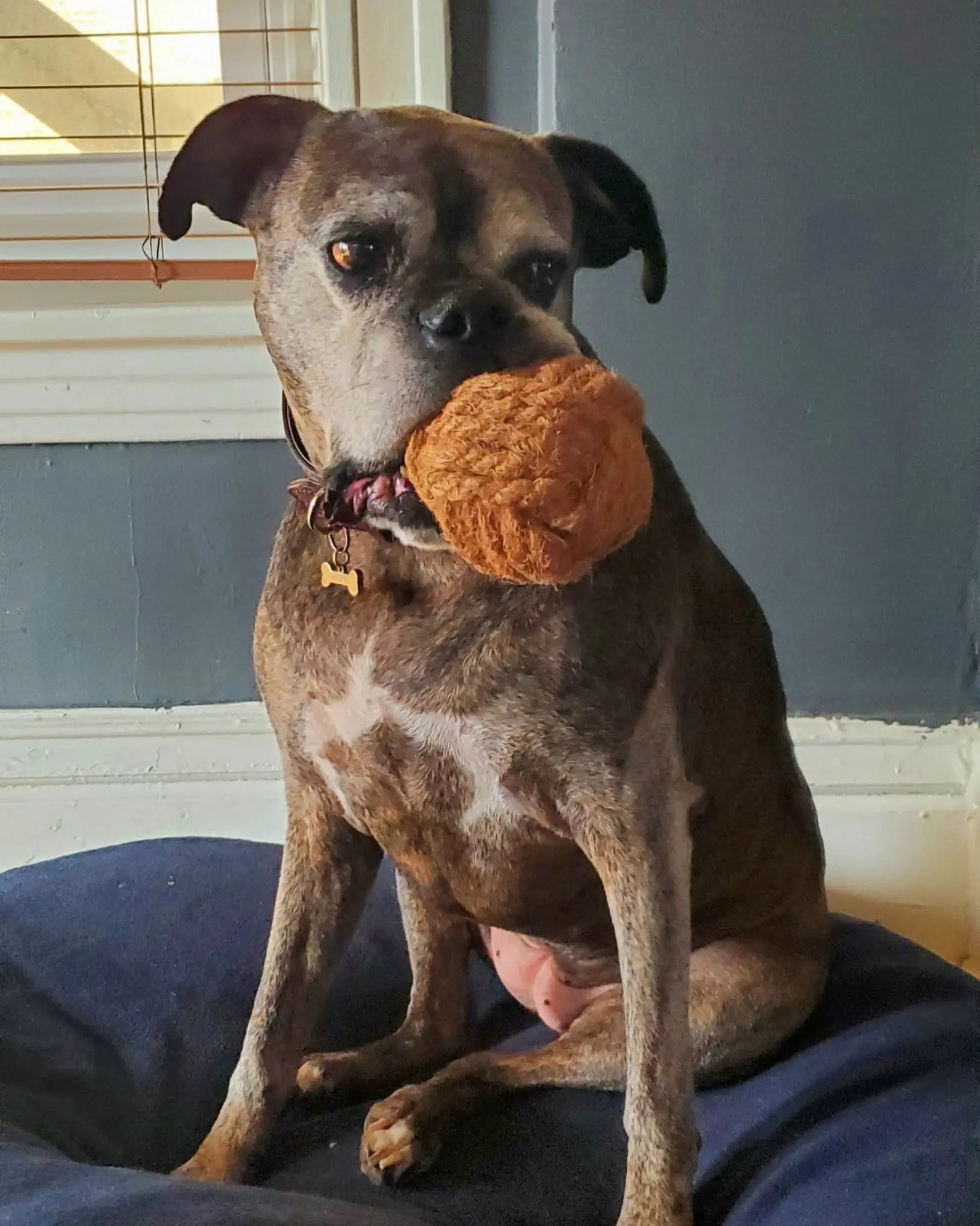 Coconut Rope Ball