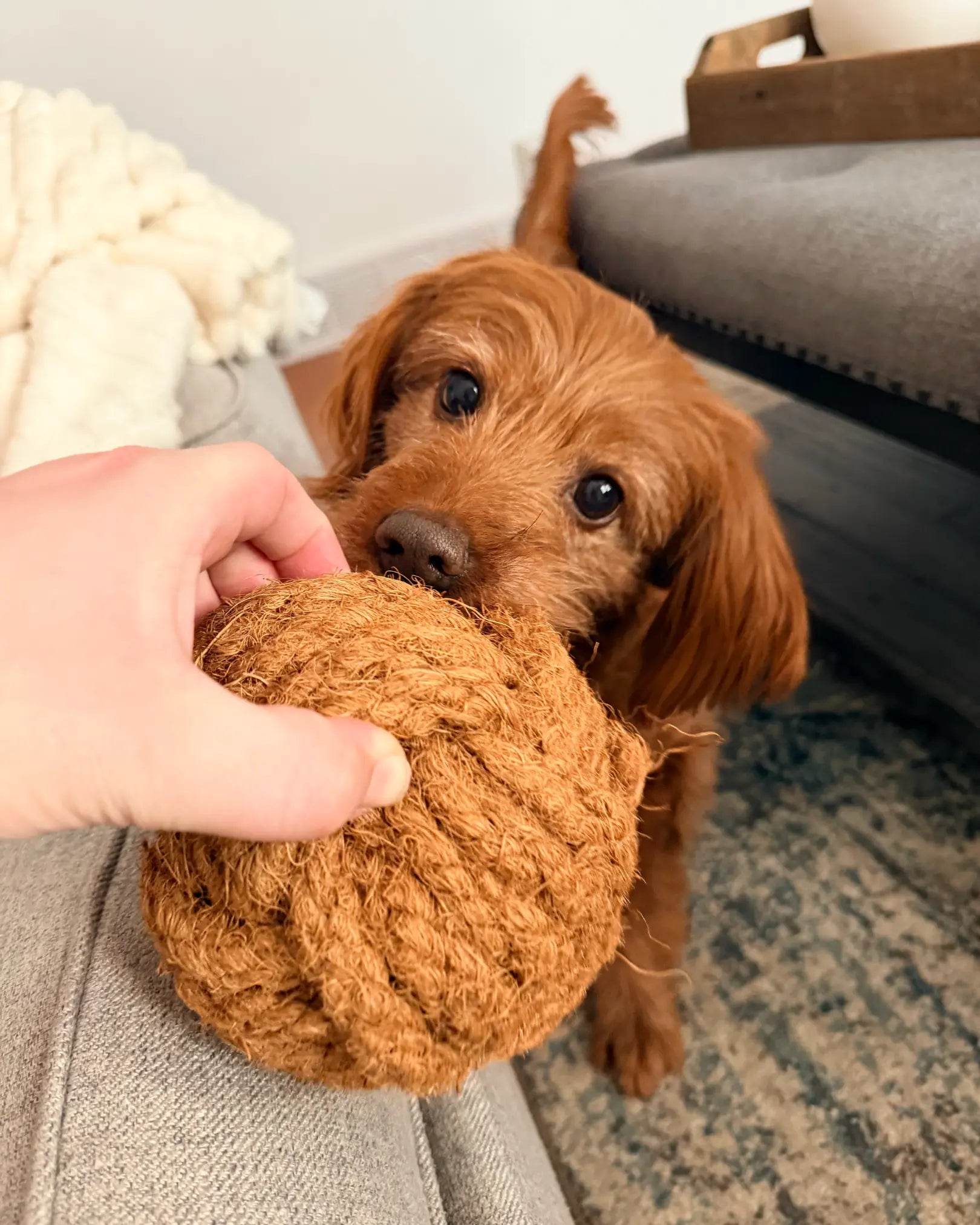 Coconut Rope Ball