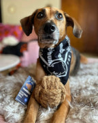 Coconut Rope Ball