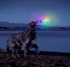 Nite Ize Flashflight Dog Discuit Led Flying Disc