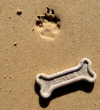 The Kelpy Bone