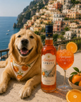 Aperpaw Spritz