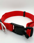 Shore Collar