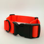 Trailblazer Collar