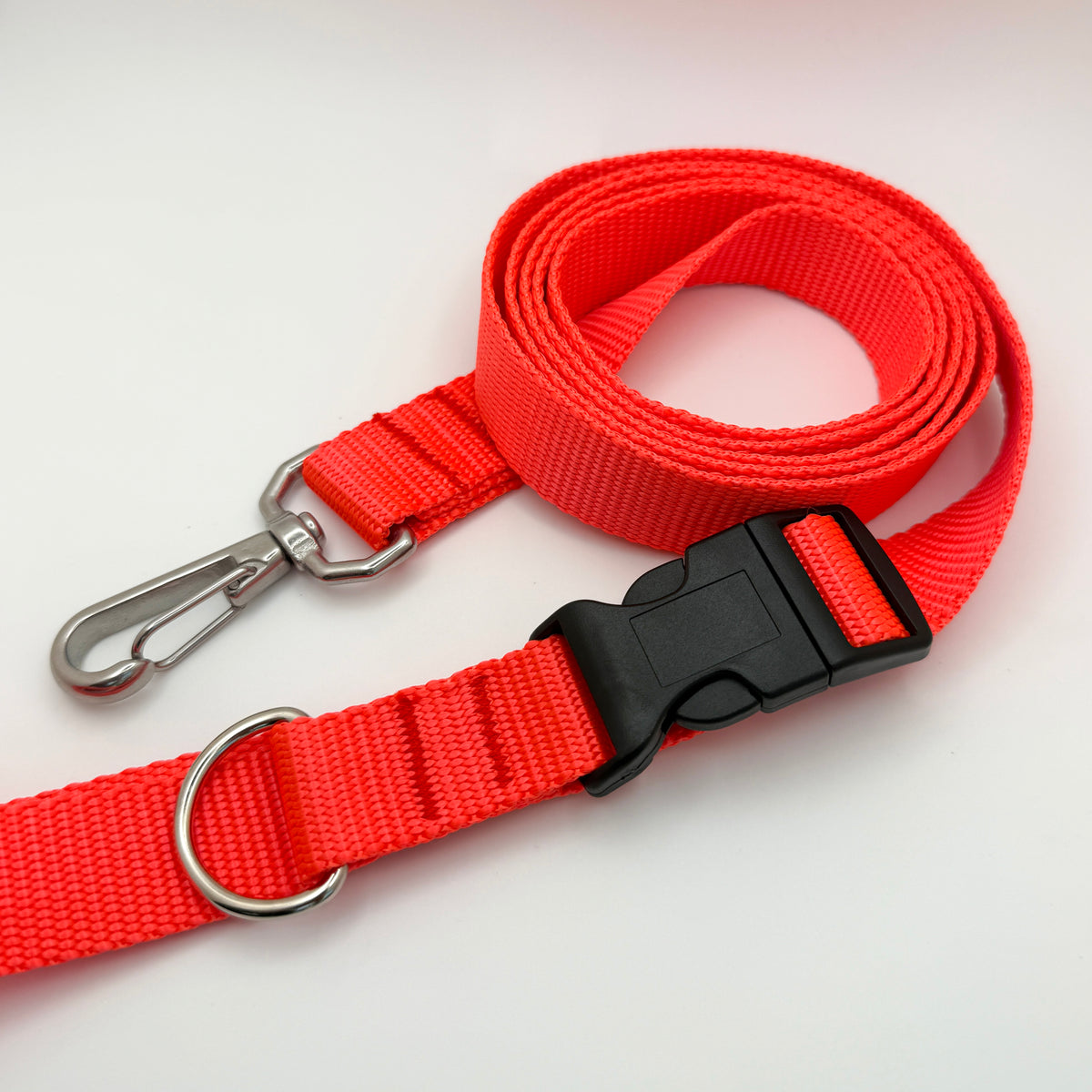Trailblazer Leash