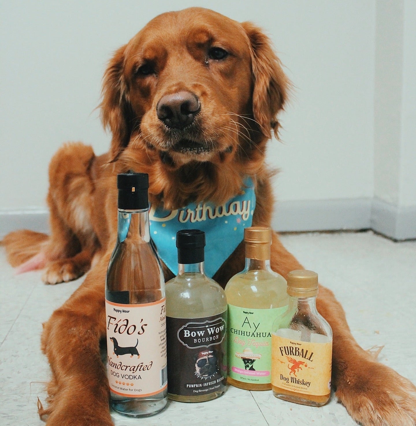 Fido's Handcrafted Dog Vodka