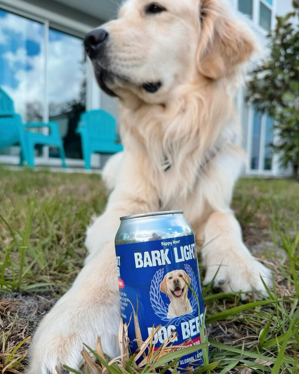 Bark Light Dog Beer